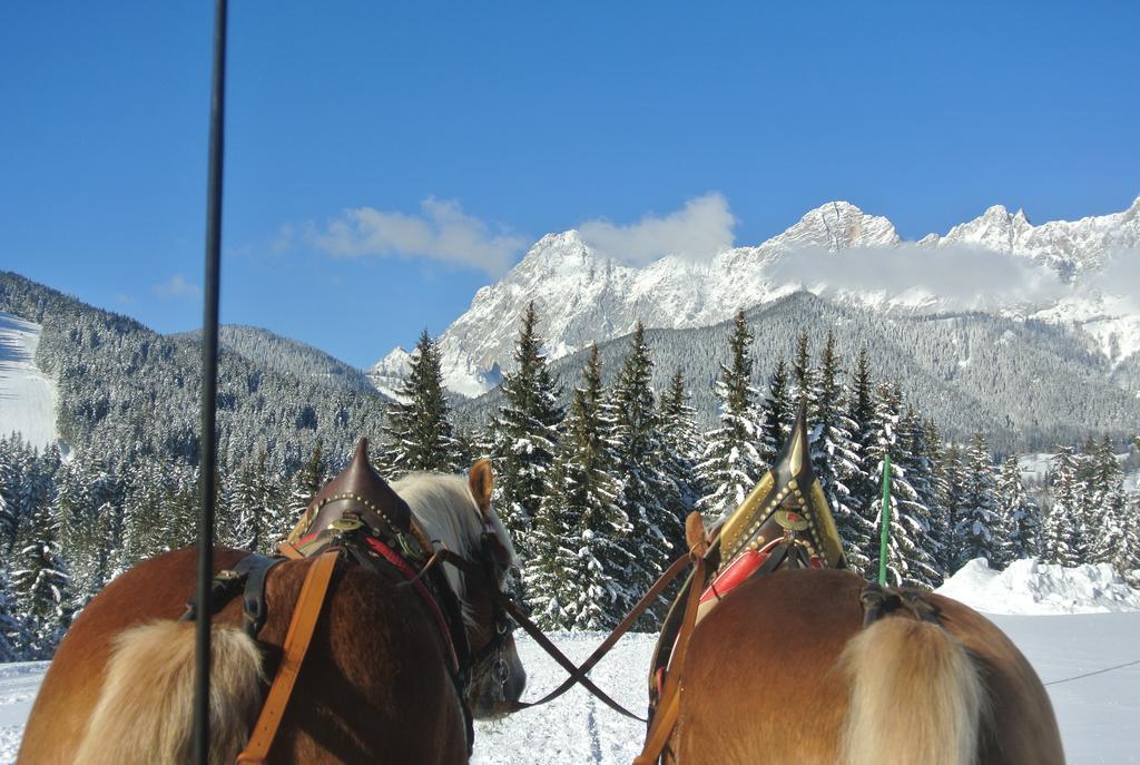 Pension Bergpracht Ramsau am Dachstein Eksteriør bilde
